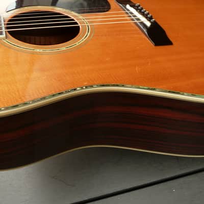 Morris W40 Brazilian Rosewood Jacaranda 1970's Natural Terada image 14