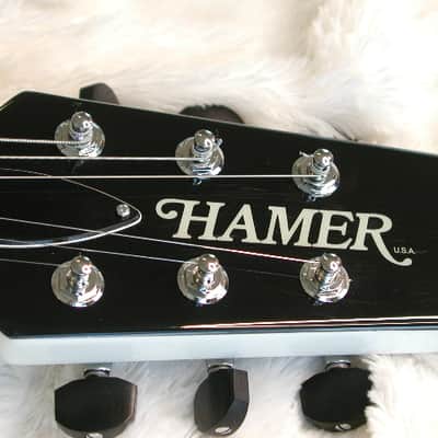 Hamer USA Eclipse Custom Zebra finish image 9