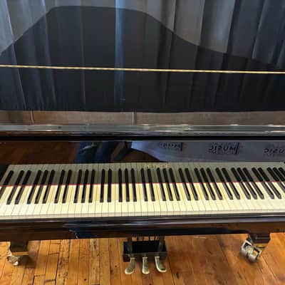 Petrof Model 1 (280)- High Gloss image 14