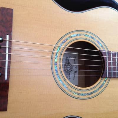 2020 Darren Hippner Shivam Acoustic Guitar Luthier Sitka Spruce OM Auditorium Model Waverly OHSC USA image 6