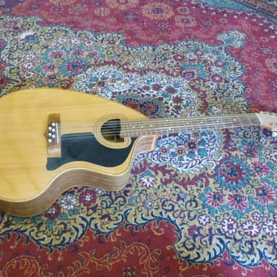 Giannini Craviola 12 String Electro Acoustic Guitar image 5