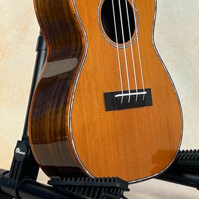 Gorgeous Ohana CK-50G Solid Cedar Top Concert Ukulele image 1