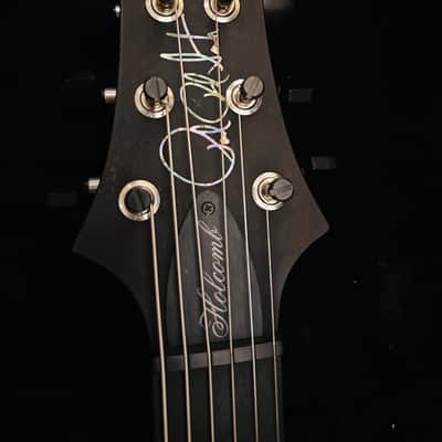 PRS Mark Holcomb Signature 10-Top image 8