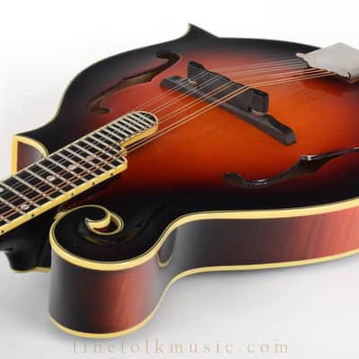 Capek F5 Professional Mandolin 1996 image 13