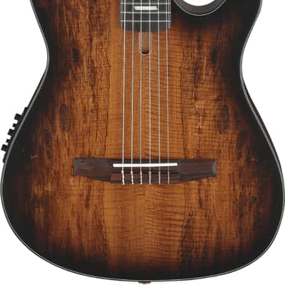 Ibanez FRH20SMN Thinline Acoustic-Electric Classical Guitar, Spalted Maple Top, Tobacco Burst image 2