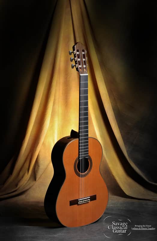 Kenny Hill Player Classical Guitar 640mm with PORTS – Cedar image 1