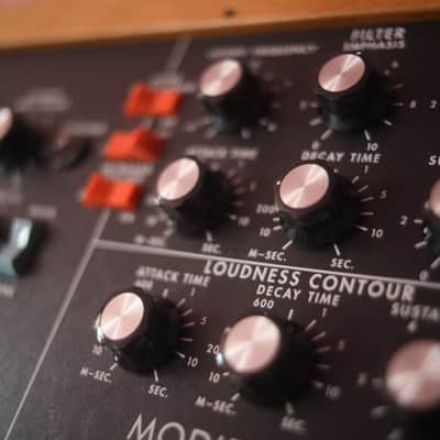 Moog Mini Moog Model D Reissue 44 Key image 9
