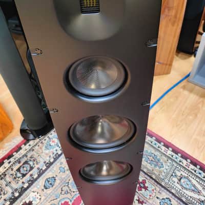SCANSONIC BY RAIDHO Q10 image 6