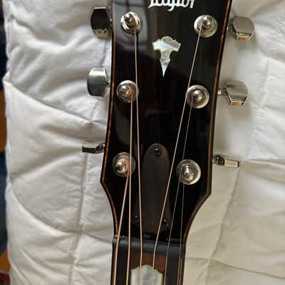 Taylor 618e with V-Class Bracing 2020 - Present - Antique Blonde image 4