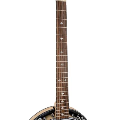 Gold Tone GT-500 Professional Maple Neck 6-String Banjitar w/Gig Bag, Pickup & Volume Control image 6
