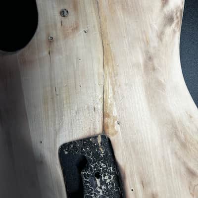 Stratocaster  Guitar Body image 6