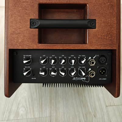 Acus One For Strings 5T 75-Watt Acoustic Combo 2019 - 2020 - Wood image 2