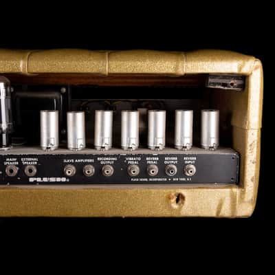 Used Vintage 1960's Plush P1000S Tuck & Roll Gold Tube Guitar Amp Head image 9