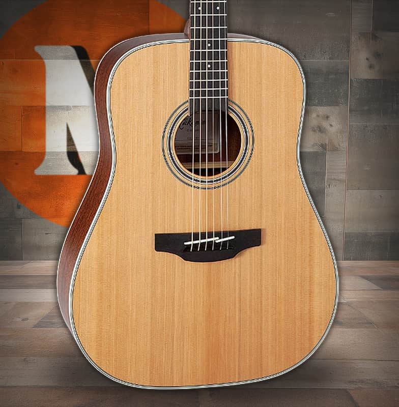 Takamine GD20 - Natural Satin (TAKGD20NS) image 1