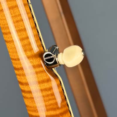 Deering Calico 5-String Banjo Demo image 15