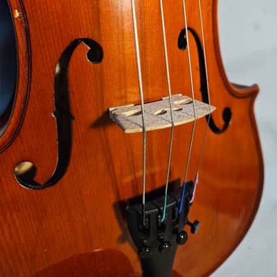 Franz Hoffmann Viola 13" inch outfit with case neck rest & bow image 4