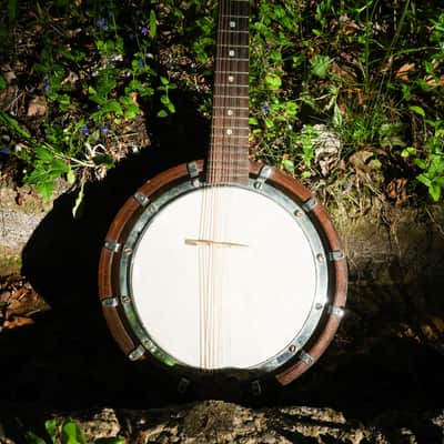 Mandolin Banjo image 1