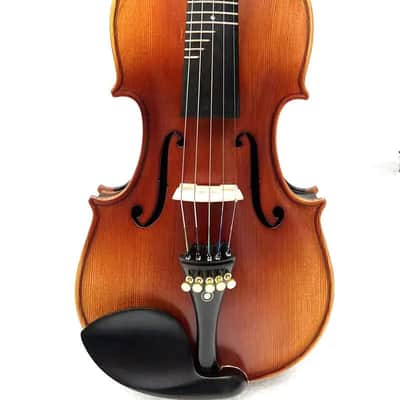 SONG Advanced 5 strings Violin with frets 4/4,Rosewood Violin,Good sound #15378 image 2
