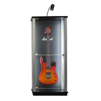 D'Luca Locking Glass Guitar Display Case w/ LED's (MADE TO ORDER) image 3