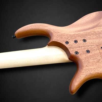 Elrick EVO Gold 5 String Horse Chestnut 2024 - Natural image 9