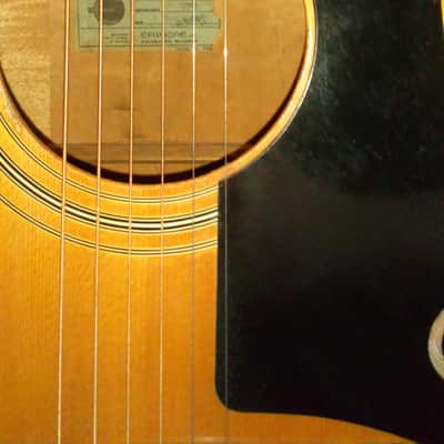 Epiphone FT-570BL Sheraton Acoustic 1973/1974 Blonde/Natural image 2