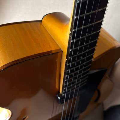 Eastman PG2 Pagelli Archtop 17" image 7