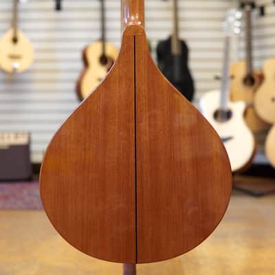 Gold Tone BZ-500 Irish Bouzouki Mandolin w/Hard Case image 3