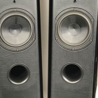 (Pair) Sonus Faber Grand Piano Home Speakers Made in Italy Audiophile Quality image 6