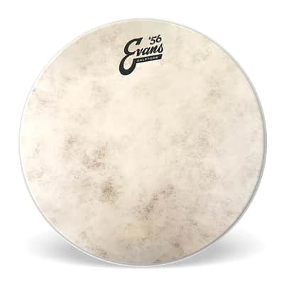 Evans TT10C7 Calftone Tom Batter Drum Head - 10"