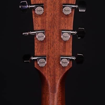 Taylor 314ce Next Generation Acoustic Guitar, Natural image 10