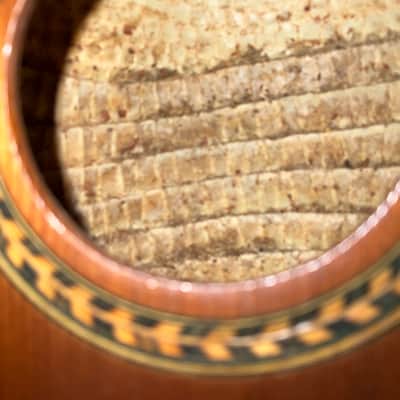 1950s/1960s Charango Bolivia/Peru Armadillo 10 String image 11