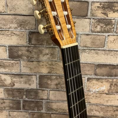 David Whiteman Cutaway 14-Fret Joint Classical Guitar Spruce/Rosewood (Doctor Sound Stock Item) 2013 image 4