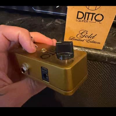 TC Electronic Ditto Looper Gold Limited Edition 2015-2020 - Gold image 4
