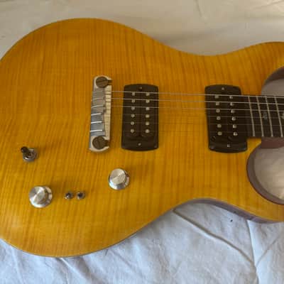 PRS SE Paul's Guitar image 1