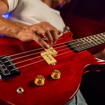 Washburn SB4R Wing Series Scavenger Ashwood Body 4-String Electric Bass Guitar image 19