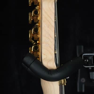 James Tyler Studio Elite HDX - Sanctuary Shmear Custom with Floyd Rose Tremolo image 11
