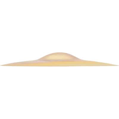 Sabian NP1005B NEIL PEART 10" PARAGON SPLASH image 3