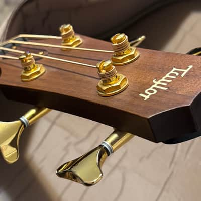 Taylor AB-2 2002 Imbuia (Brazilian Walnut) top, back and sides image 15