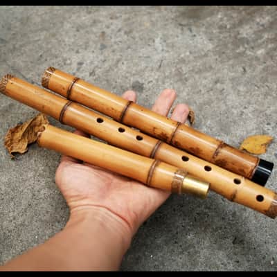 Long-Xiao Flute-Yellow Bamboo– Concert-Tuned Key E/D/C/B (Lowest Note), 8 Holes, 3 Piece - Finish with Lacquer Protection Inside, Xiao's tail is covered with buffalo horns image 1