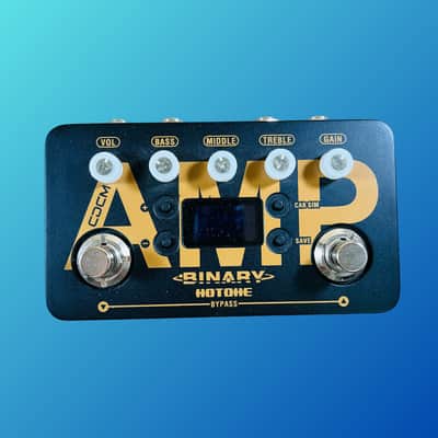Hotone Binary Amp Simulator | Reverb