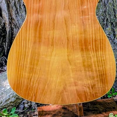 Van Gundy Customs The Spring Falcate Braced Acoustic Guitar image 4