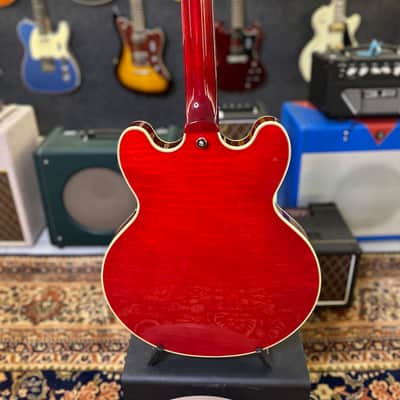 Immagine FGN  Fujigen Guitars MASTERFIELD MSA HP CH Curly Maple 2023 - Cherry - 7