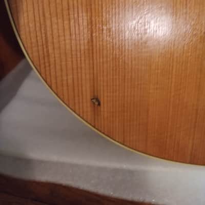 Seagull Entourage Dreadnought 2018 - Autumn Burst image 17