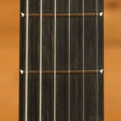 Mayones Hydra Elite 6 - Ebony - Monolith Custom Colour Satin image 6