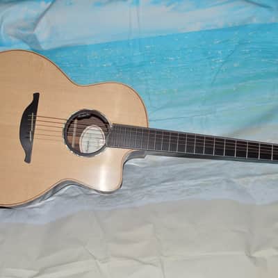 Hsienmo F Model Rosewood, Baggs HiFi 2026 - Satin Sheen image 2