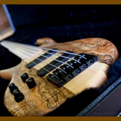 Carvin Icon 2011 Spalted Maple Best Offer image 5