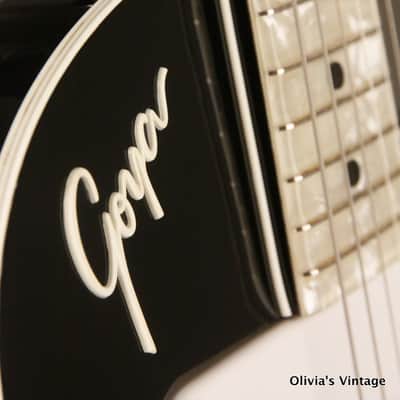 RARE 1960's GOYA/Hagstrom model JB-80 factory ACOUSTIC modular insert BLACK #004 image 15