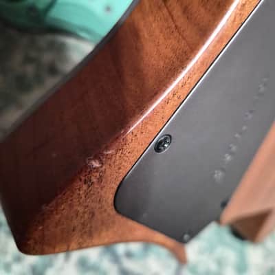 Strandberg Guitars Boden DR 2021 - Titanium image 6