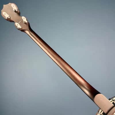 Custom Deering Artisan Goodtime Special 19-Fret Tenor Openback Banjo image 17