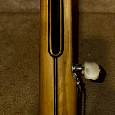 Bacon Professional FF Special Grand Concert 5-String Banjo 1910-1915 image 12